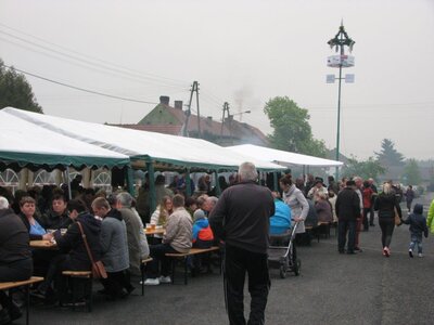 Drzewko Szczedrzyk (7)